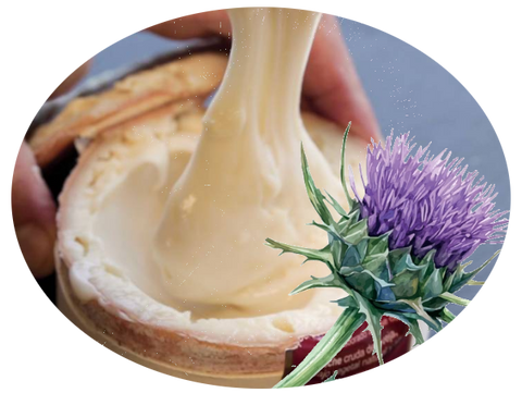 Torta del Casar Cheese: Always Among the Best in the World | Queso Torta del Casar: Siempre entre los mejores del mundo