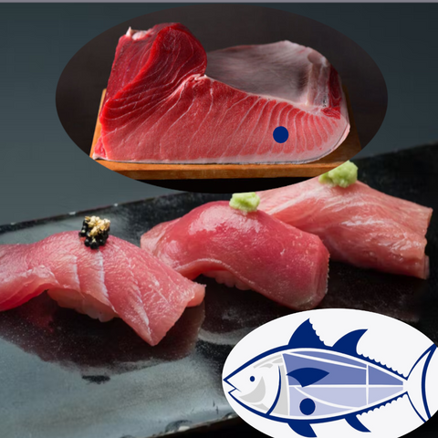 Frozen Fish & Seafood | Pescado y Marisco Congelado
