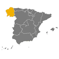 Cow & Goat Cheese Pazo do Queixo 900g. | Queso Mezcla Vaca y Cabra Pazo do Queixo 900g.