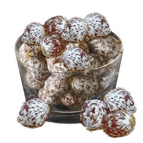 Mini Round Fuet Plain Aperiloste | Mini Fuet Aperiloste