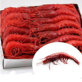 Wild Carabinero  20-25 PC per KG (Spain) | Carabinero Salvaje 20-25 Uds/kg (España) - La despensa