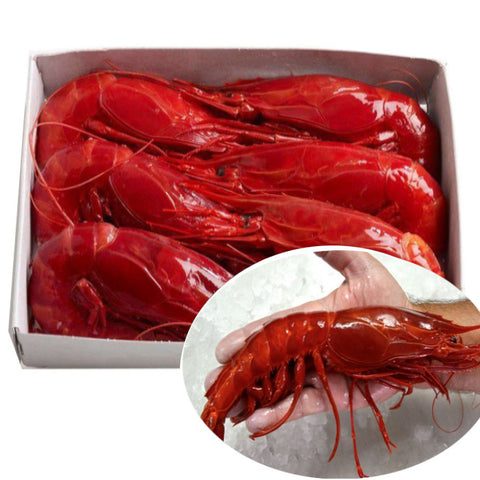 Large Wild Carabinero  7-9 PC per Kg ( Spain) | Carabinero Salvaje Grande 7-9 Uds per kg (España)