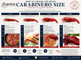Wild Carabinero 16-20 PC per Kg (Spain - Frozen) |  Carabinero Salvaje SPAIN 16-20 PC per kg (España - Congelado) - La despensa