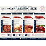 Wild Carabinero 8-12 PC per 1 Kg (Spain - Frozen) | Carabinero Salvaje 8-12 Uds - 1 Kg (España - Congelado) - La despensa