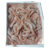 White Shrimps Huelva Frozen | Gamba blanca  de Huelva Congelada