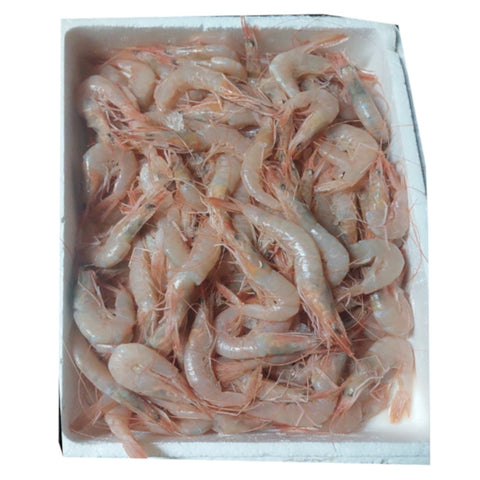 White Shrimps Huelva Frozen | Gamba blanca  de Huelva Congelada