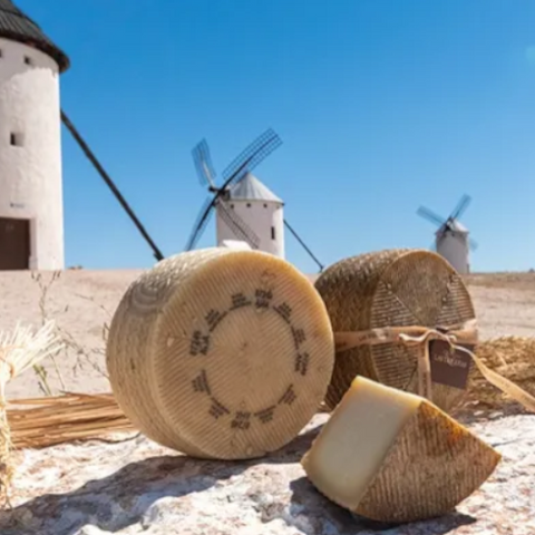 Manchego Cheese – Spain’s PDO Icon for Gourmet Tables | Queso Manchego – El Icono D.O.P. de España