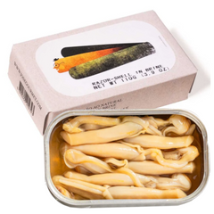 Razor-Clams in Brine (6/8 pcs) JOSE Gourmet 110g Tin