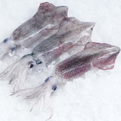 Frozen Baby Squid | Chipirones Congelados
